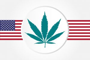 Legalizacja marihuany w USA.
